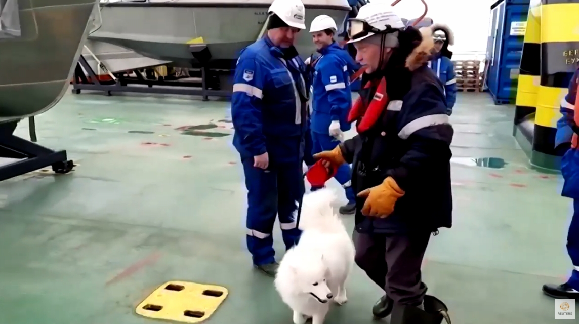 ロシア　流氷の上に取り残されたワンコさんを救助