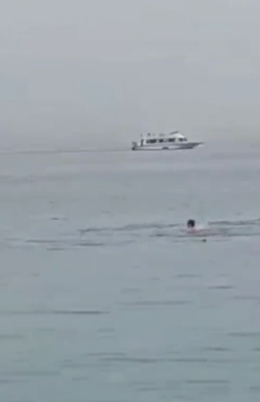 【衝撃映像】サメに襲われ、エジプトの海で泳いでいたロシア人が死亡　